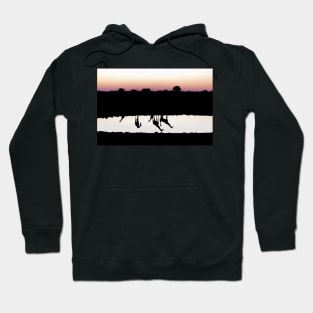 Reflection of South African Giraffes at Sunset Hoodie